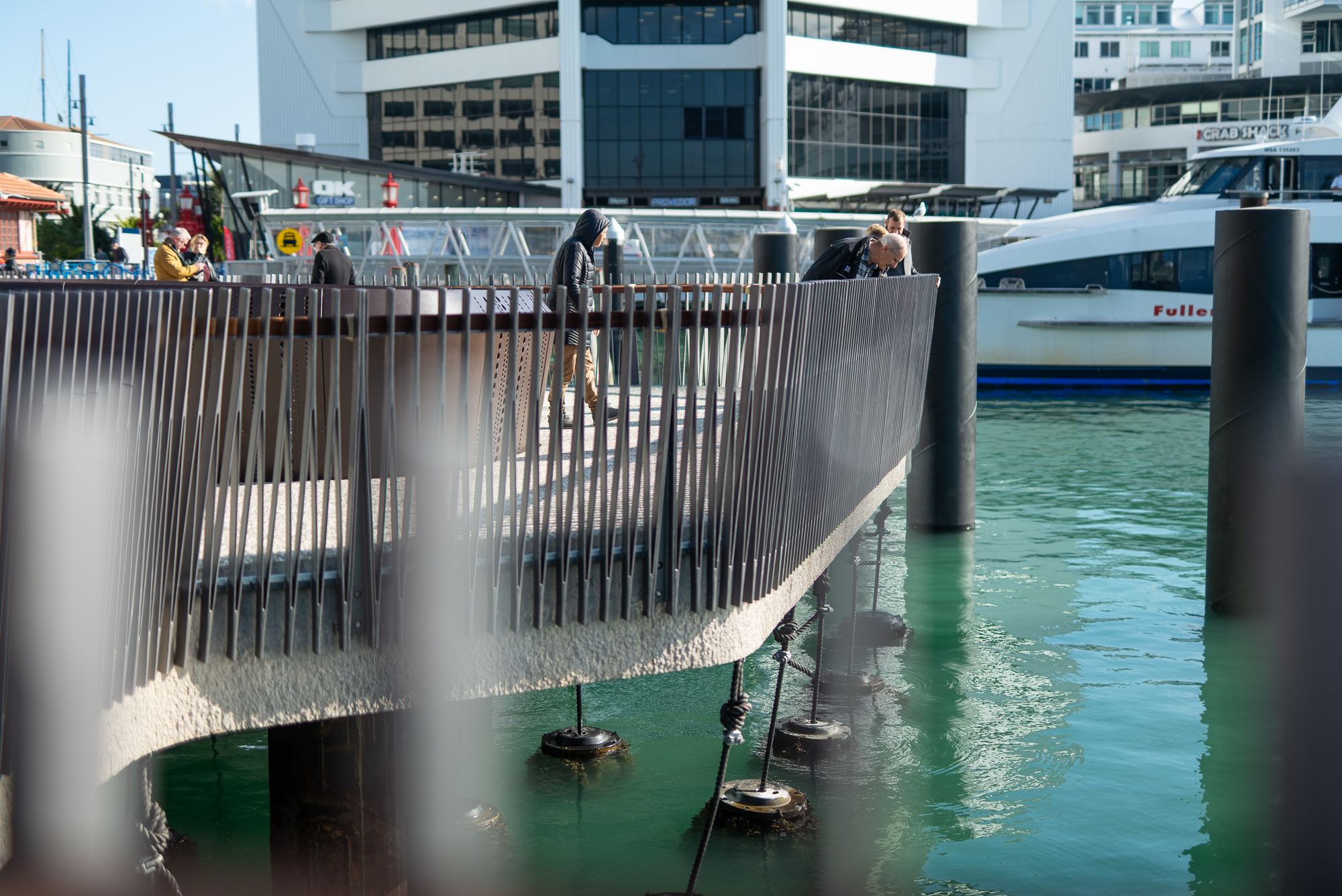 Te Wānanga downtown waterfront